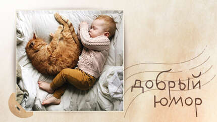 Про утреннюю бодрость и три ступени монашеской святости