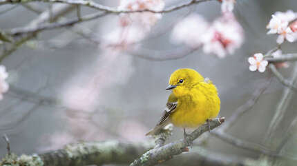 «Собирая любимых в путь…»