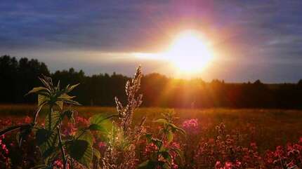 Творящая тишина