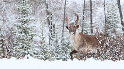 «О, дай мне, Боже, вдохновенье…»