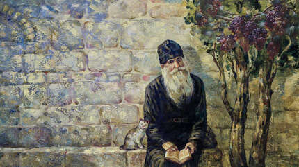 Вяз и виноградная лоза