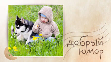 Про возраст мудрости и безобидных лентяев