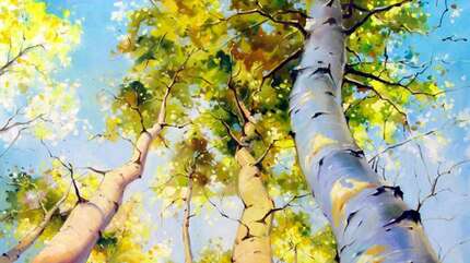 Забери меня к Себе