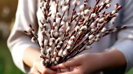 Живое с неживым