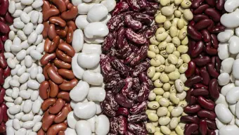 Постные салаты из фасоли