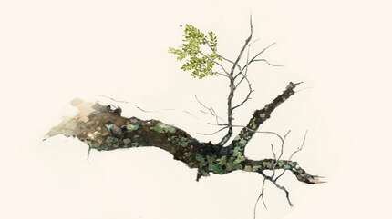 Вопросы роста