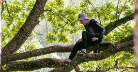 подросток на дереве