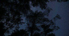 ночное небо