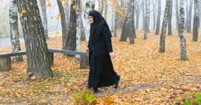 осень березы монахиня