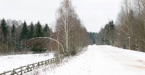 дорога лес березы снег