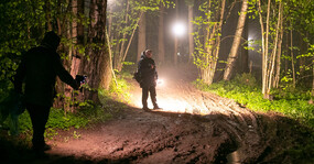 лесная дорога