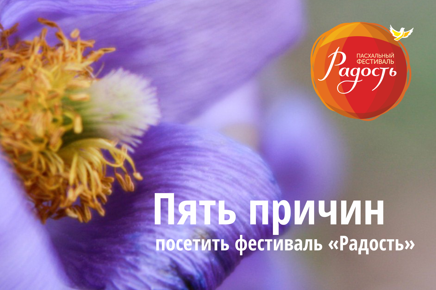 Пять причин посетить фестиваль «Радость»