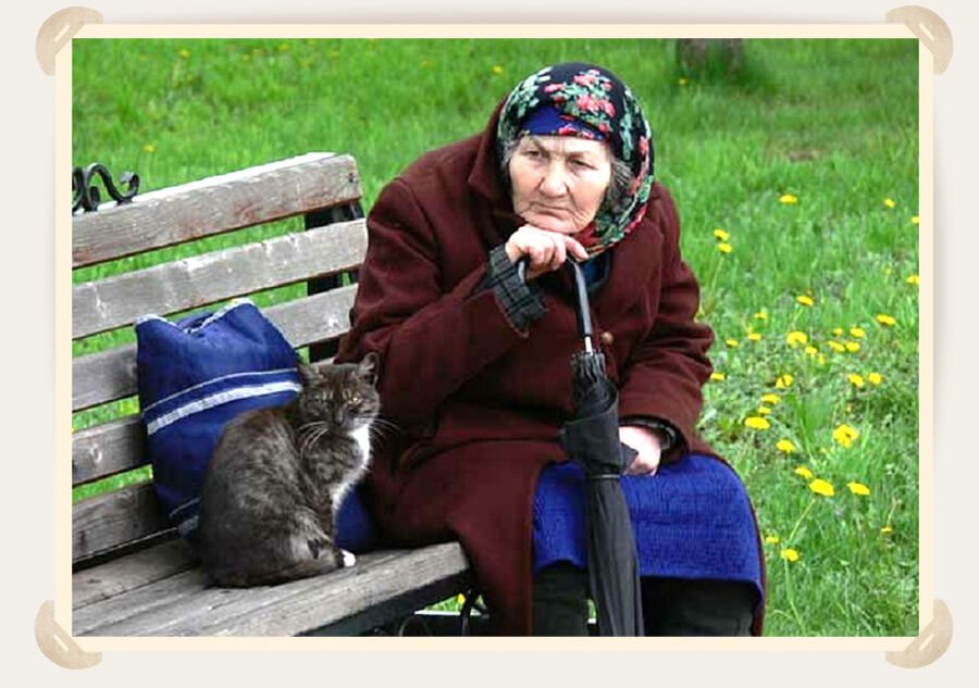 старушка с котом