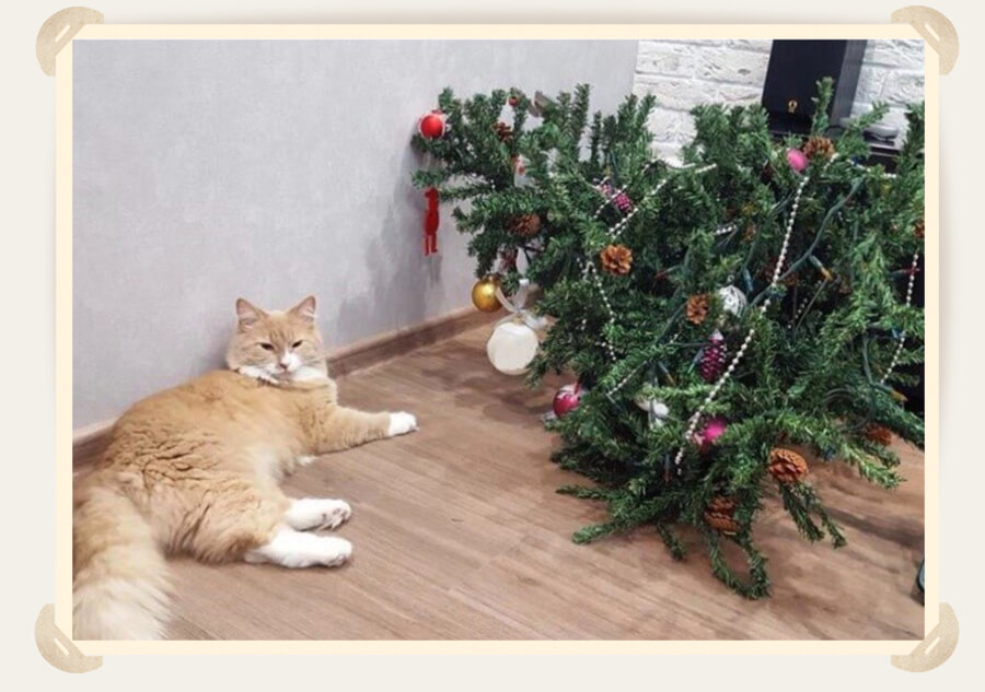 кошка возле елки