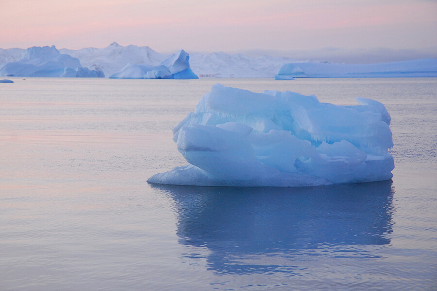 Антарктида вид на бухту Ардли