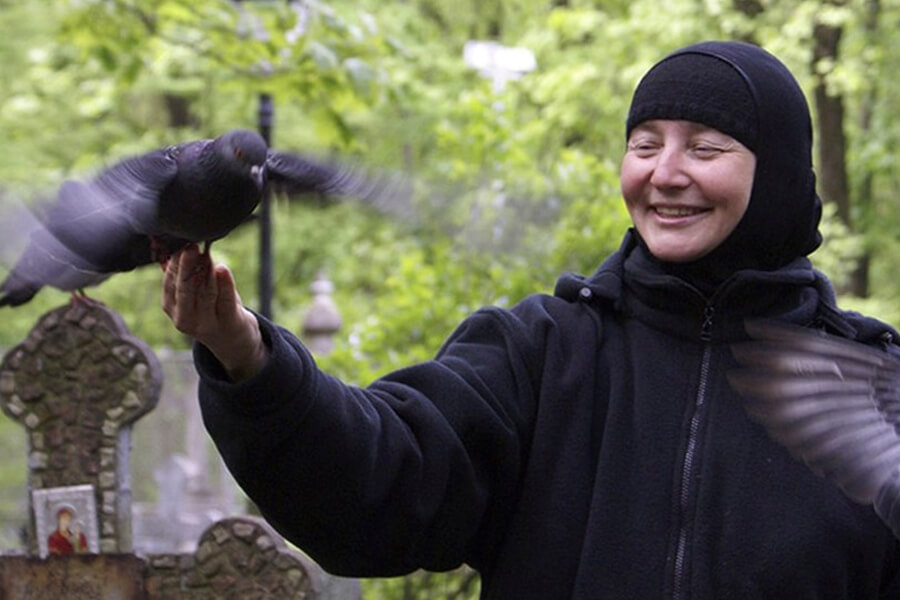 монахиня с голубем