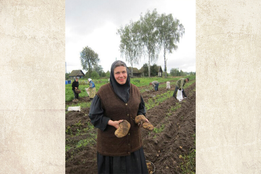 монахиня собирает картошку