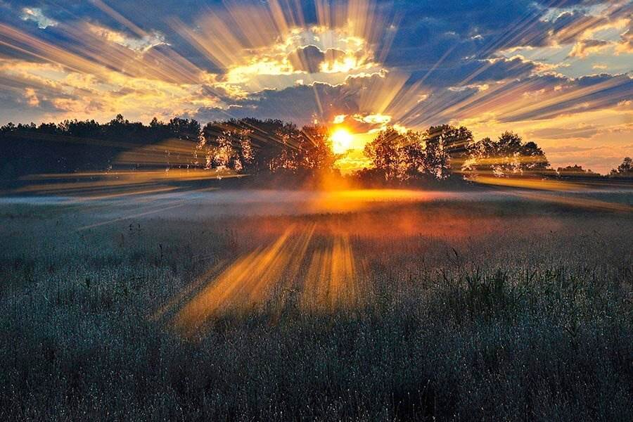 лучи солнца