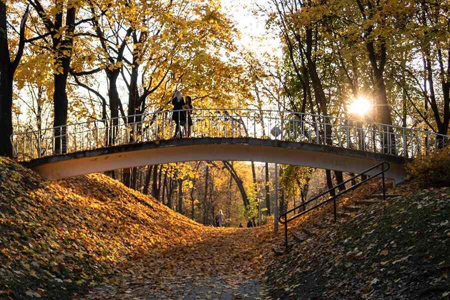 осенний парк