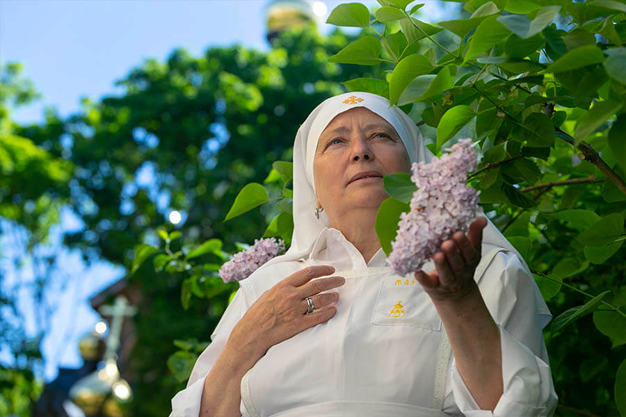 сестра и сирень