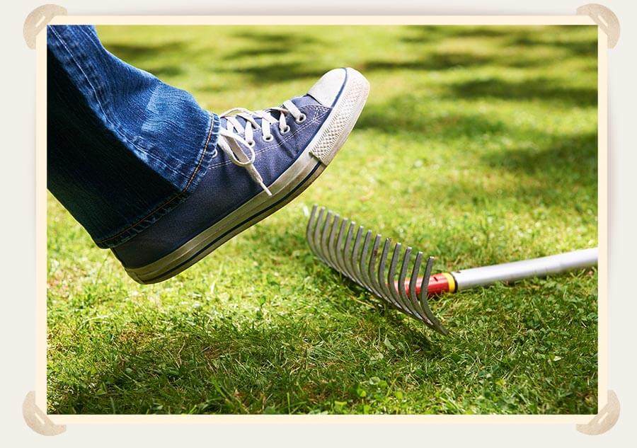 наступить на грабли