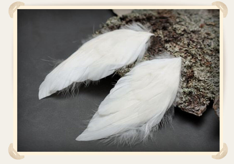 перья