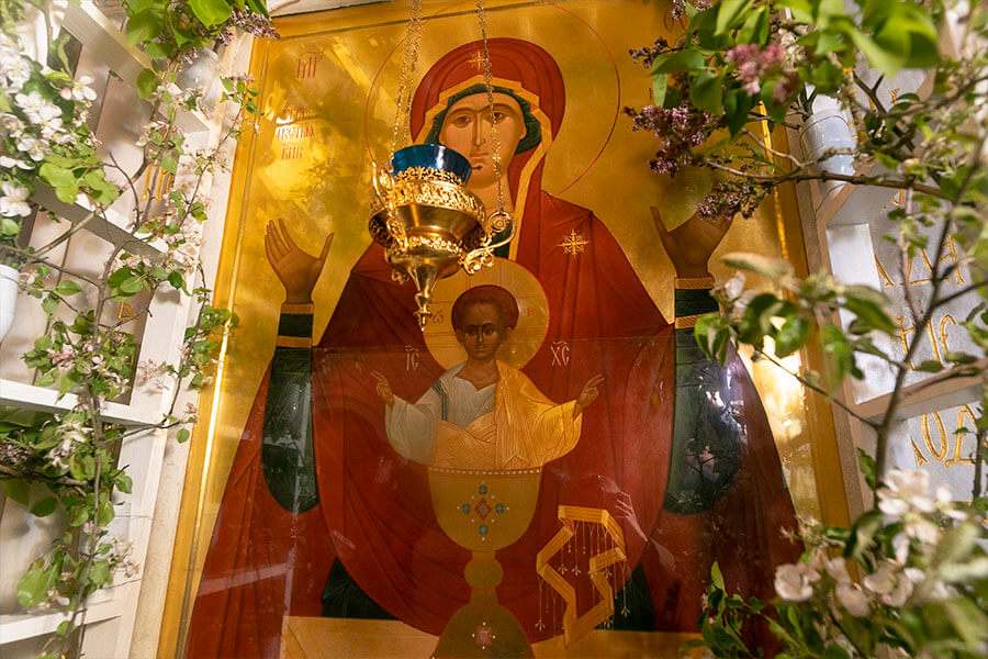 икона Божией Матери Неупиваемая Саша