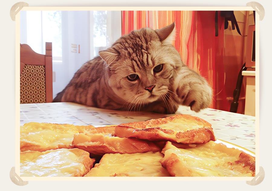 кот тянется за едой