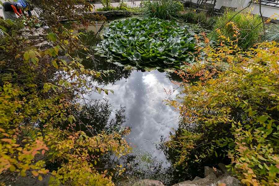 монастырский пруд