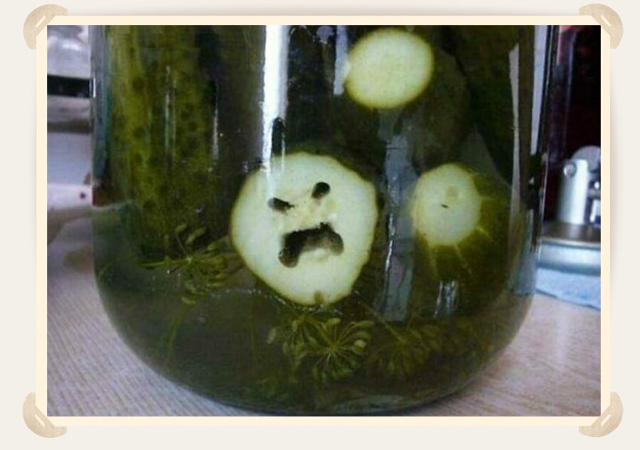 банка огурцов