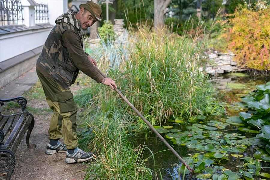 очистка пруда