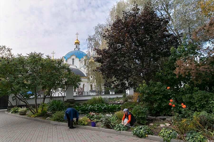 монастырские насаждения