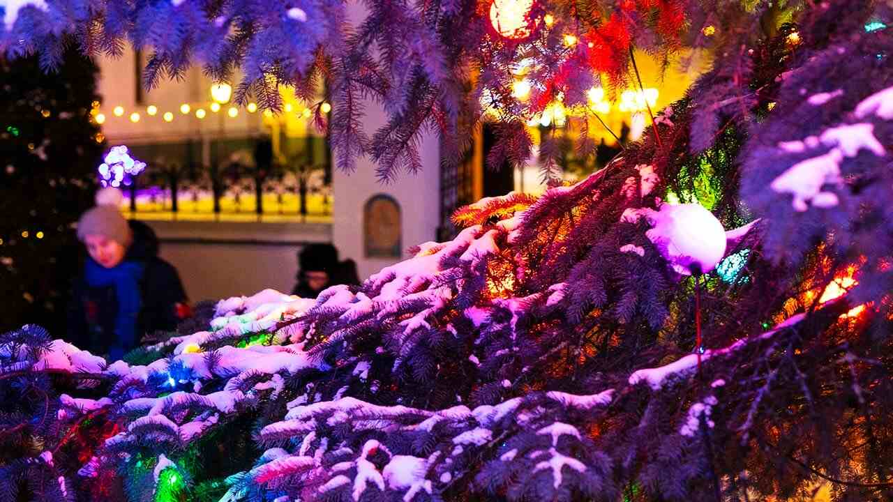 новогодняя елка