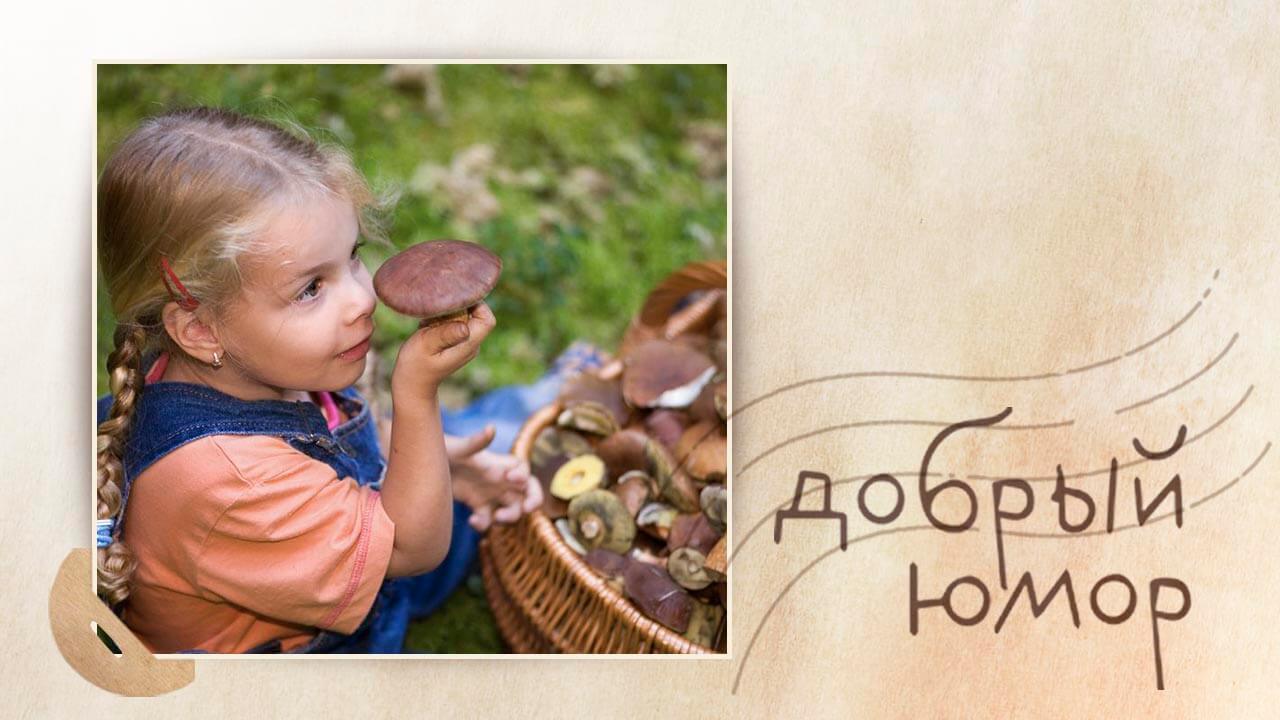 девочка с грибами