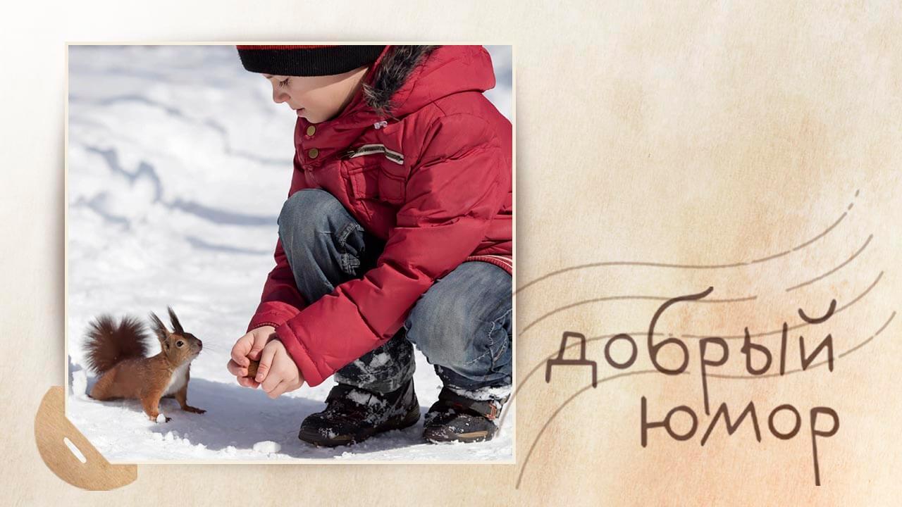 кормление белочки