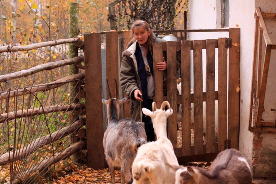 уход за козами