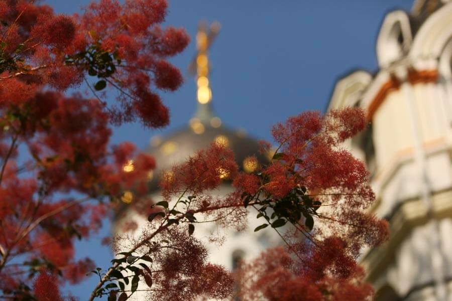 Сестра милосердия Клавдия Реутская