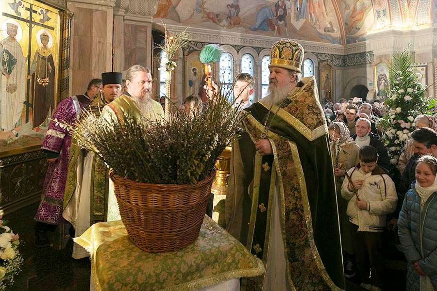 освящение вербы