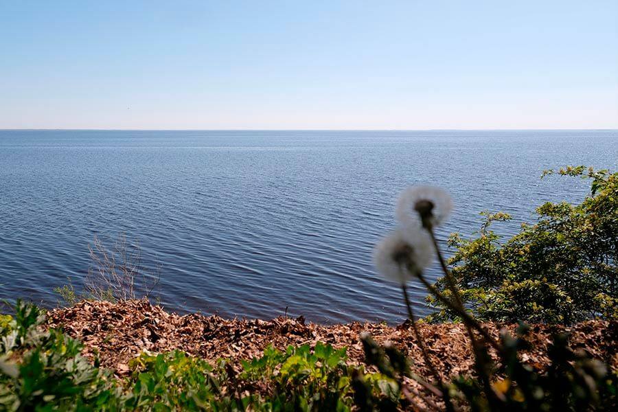 водная гладь