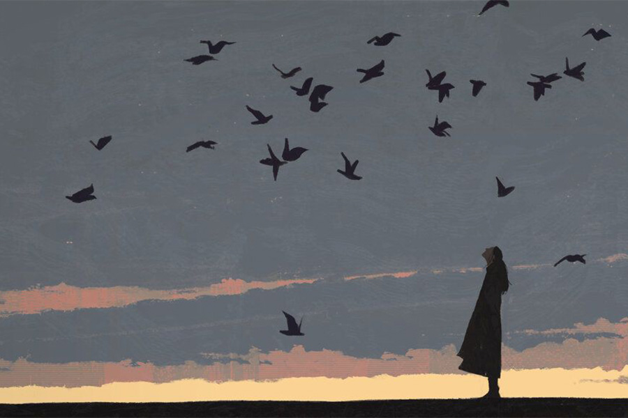 птицы летят