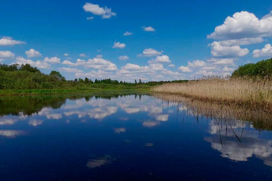 Река Лочкина 