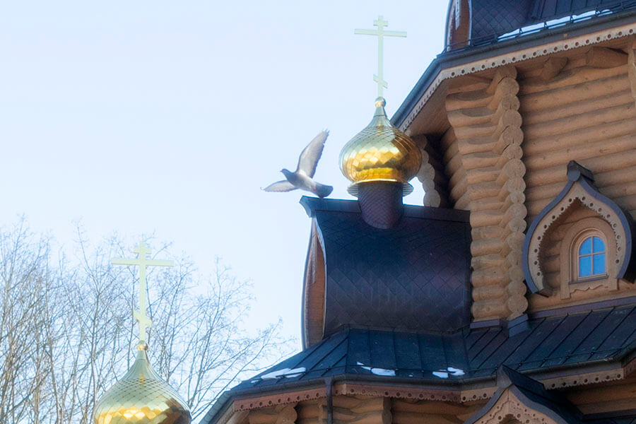 голубь у храма