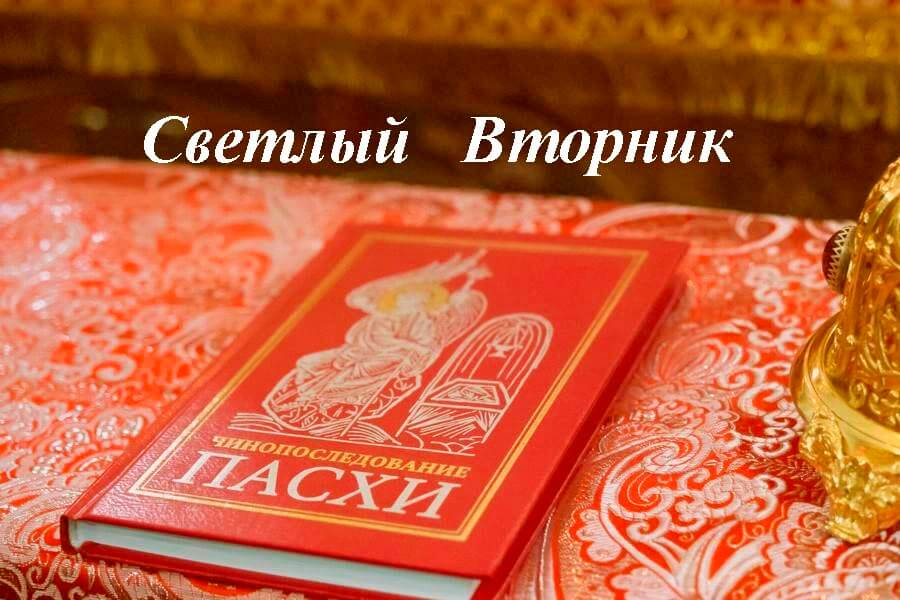 светлый вторник 