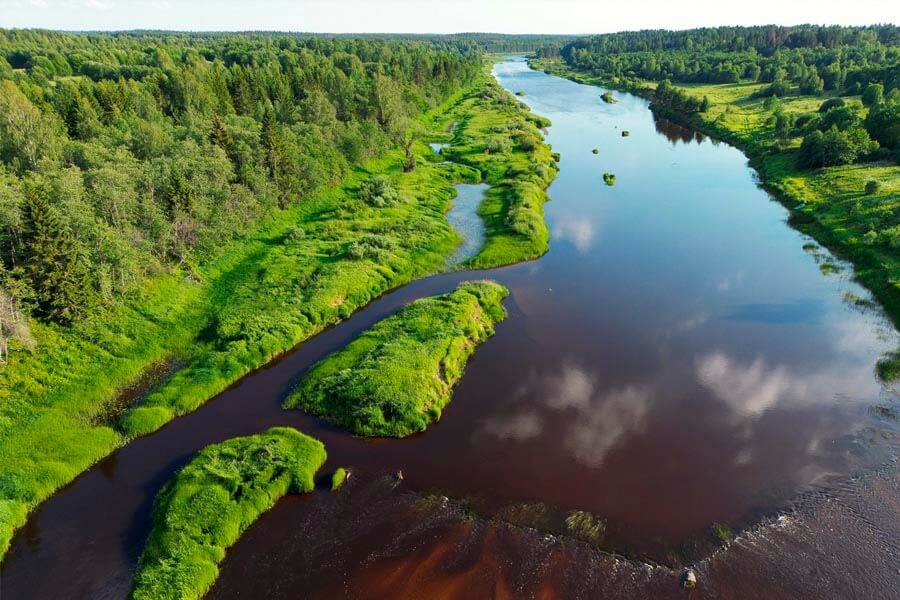Река Молога