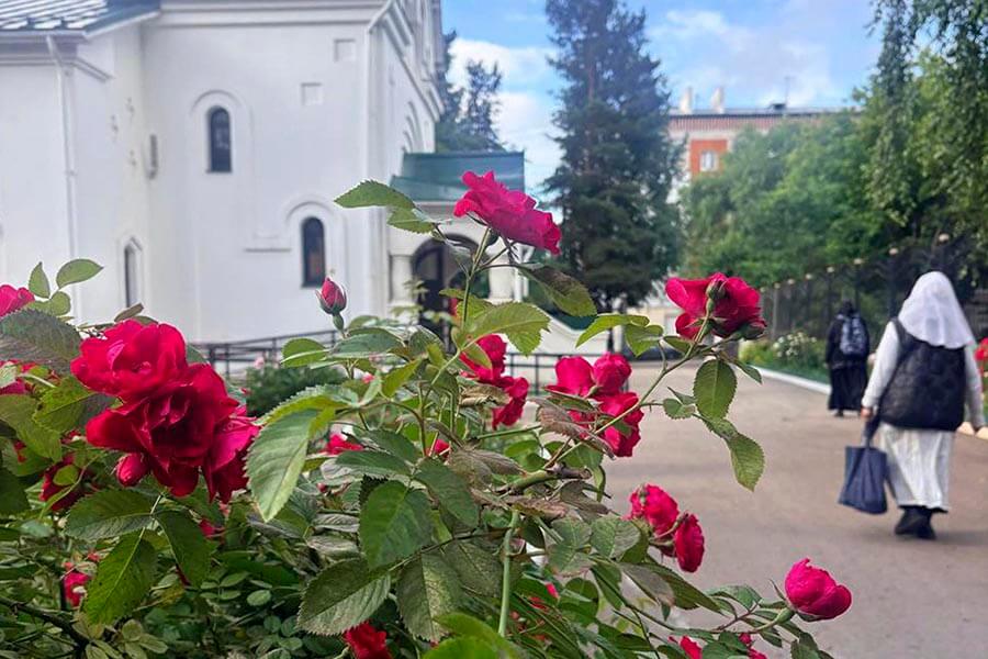 цветы
