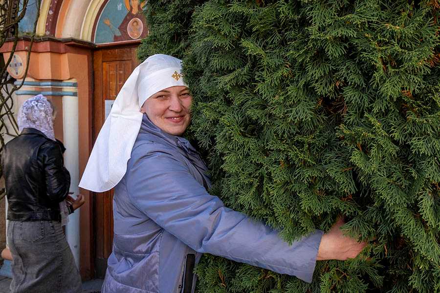 сестра милосердия 