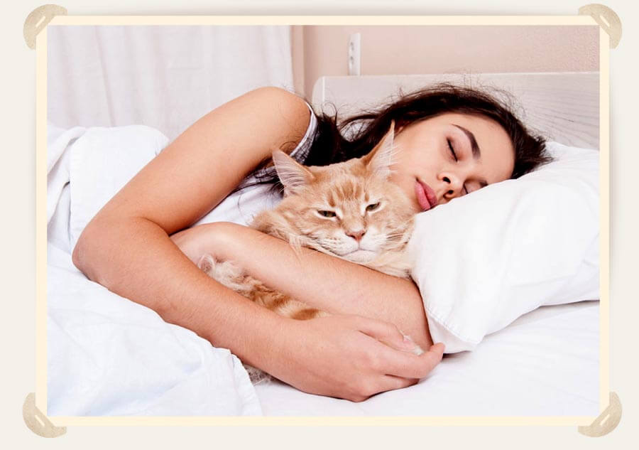 девушка спит