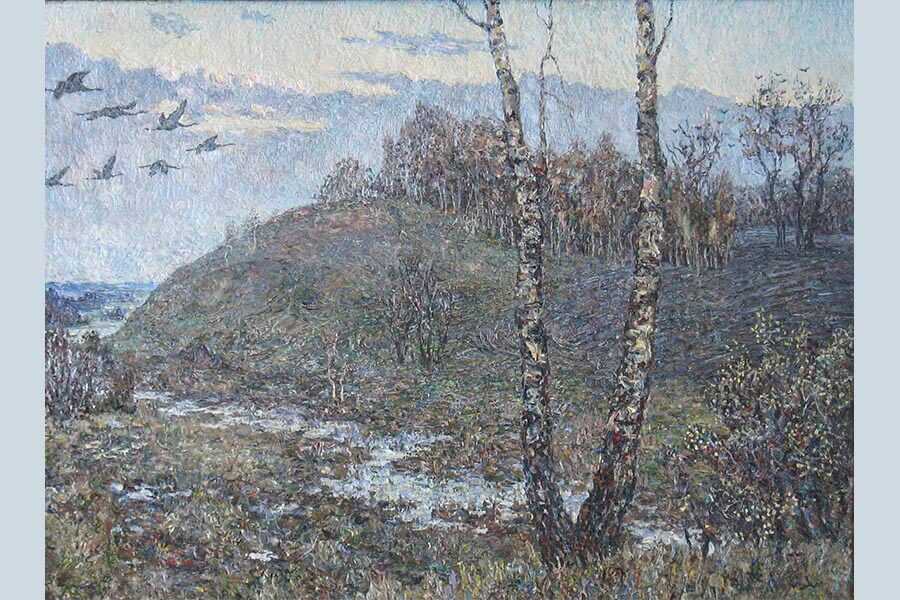 березы пейзаж