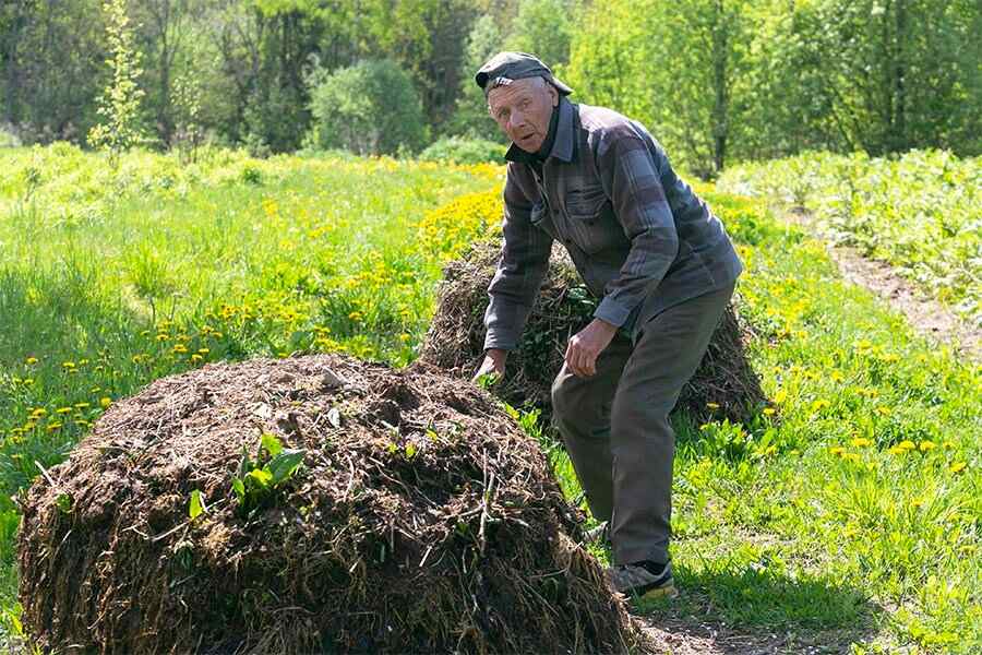 подворский брат