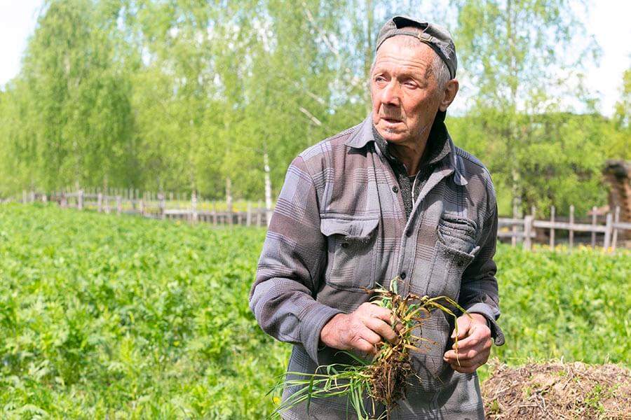 пожилой человек